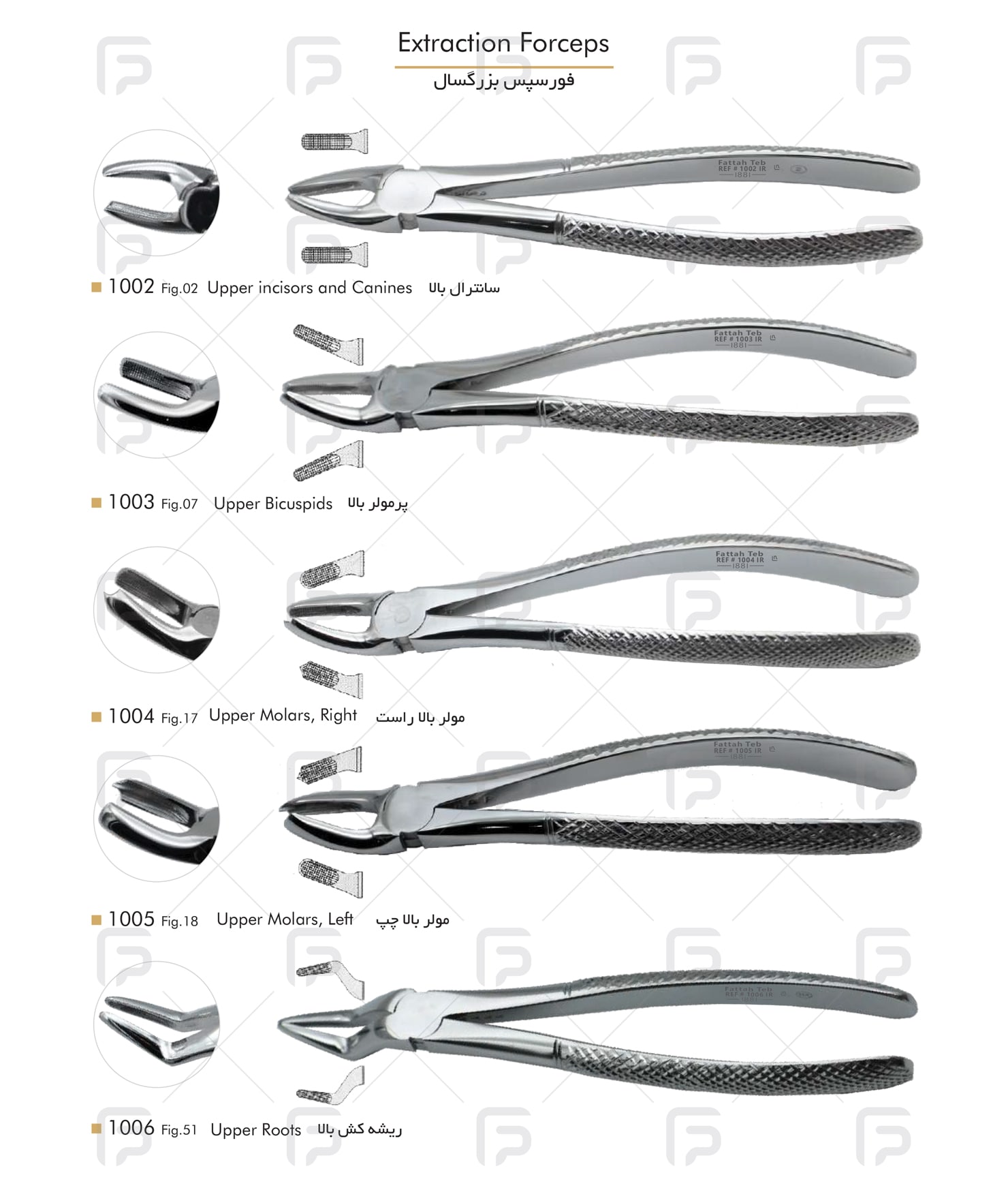 Fattah Teb - Adult Forceps Student Set